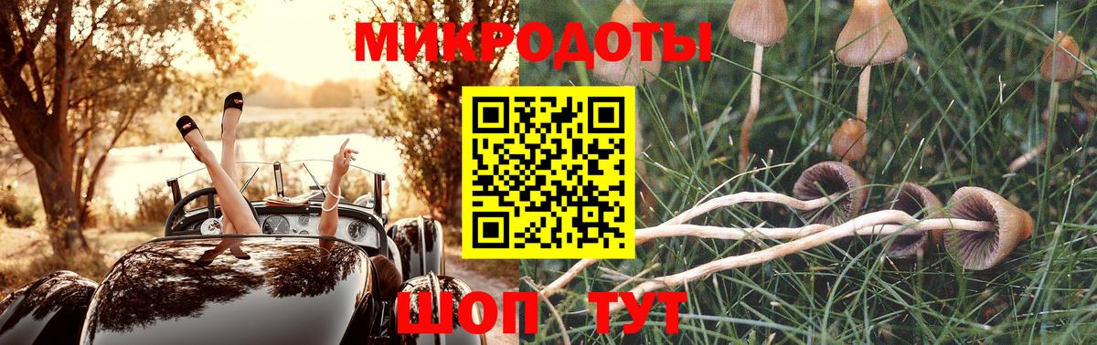 Галлюциногенные грибы прущие грибы Сафоново